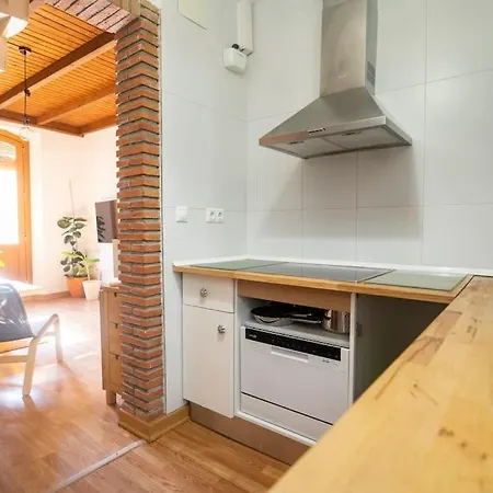 Apartamento Atico Duplex Terraza Privada Centro *