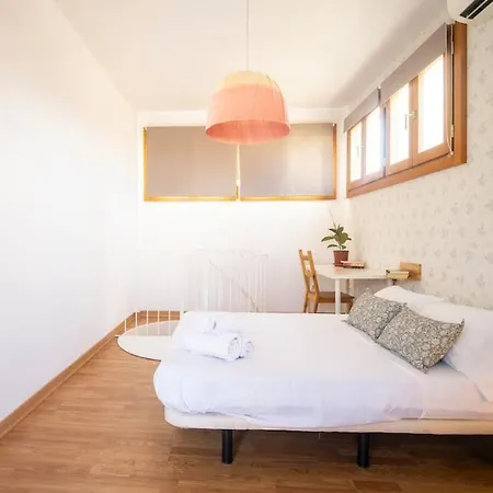 Atico Duplex Terraza Privada Centro Granada