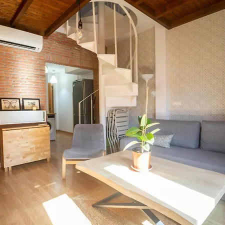 Atico Duplex Terraza Privada Centro * Granada